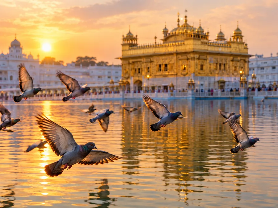 सूर्यास्त के समय पवित्र सरोवर के ऊपर नीचे उड़ते कबूतर, पीछे सुनहरा मंदिर